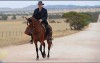 water diviner2.jpg